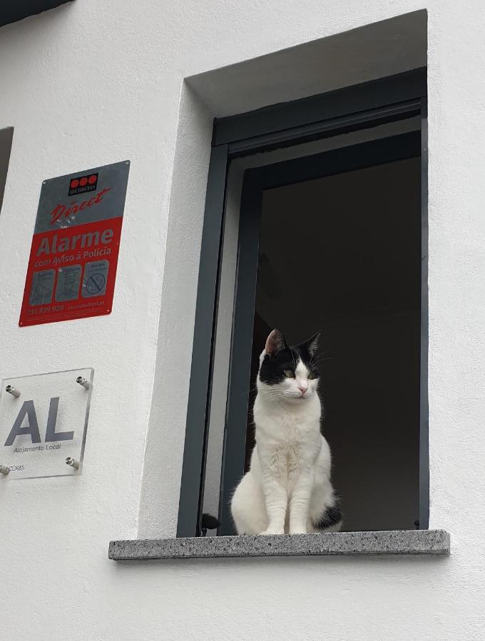 Caminhos Nos Levam Pela Ilha Appartement Ponta Delgada Buitenkant foto