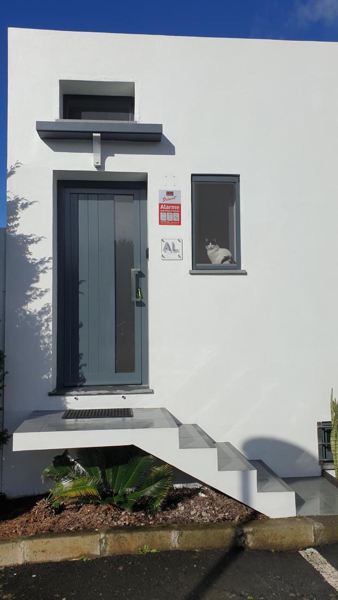 Caminhos Nos Levam Pela Ilha Appartement Ponta Delgada Buitenkant foto