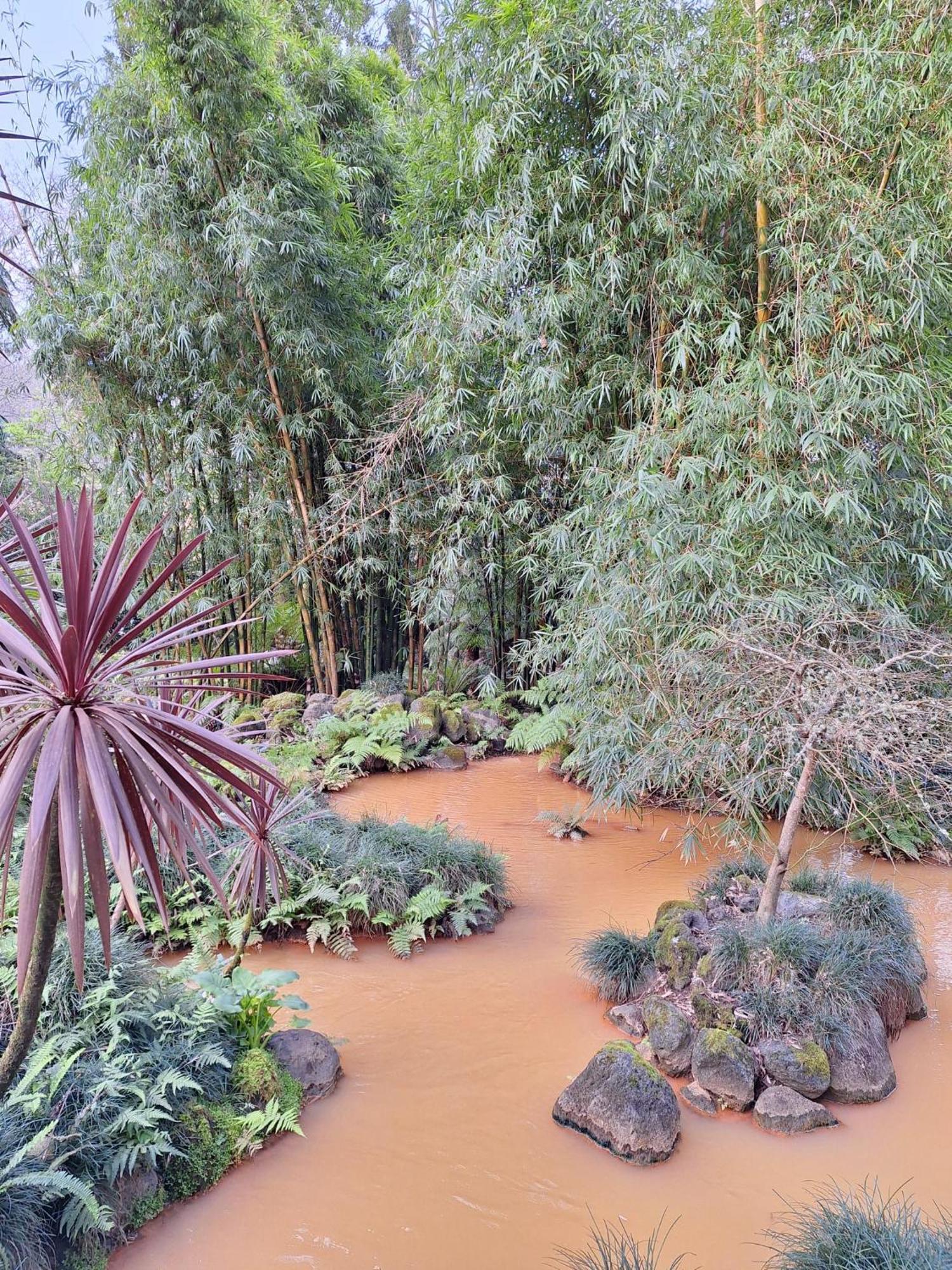 Caminhos Nos Levam Pela Ilha Appartement Ponta Delgada Buitenkant foto